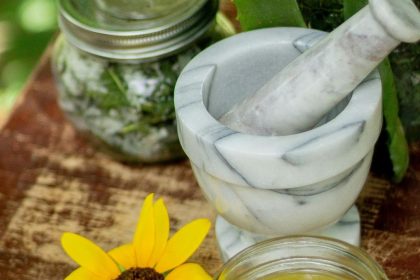 आयुर्वेद और एआई का संगम: भारत में स्वास्थ्य क्रांति की नई लहर